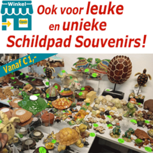 Leuke en unieke Schildpad Souvenirs in onze souvenirwinkel in Alphen a/d Rijn