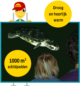 Kom naar de bezoekdagen van het Schildpaddencentrum