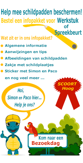 Infopakket Schildpadden met sticker voor spreekbeurt of werkstuk