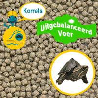 Korrels voor Muskusschildpadden